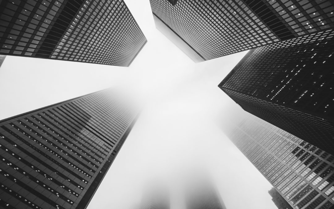 Circular de 1.03.2019